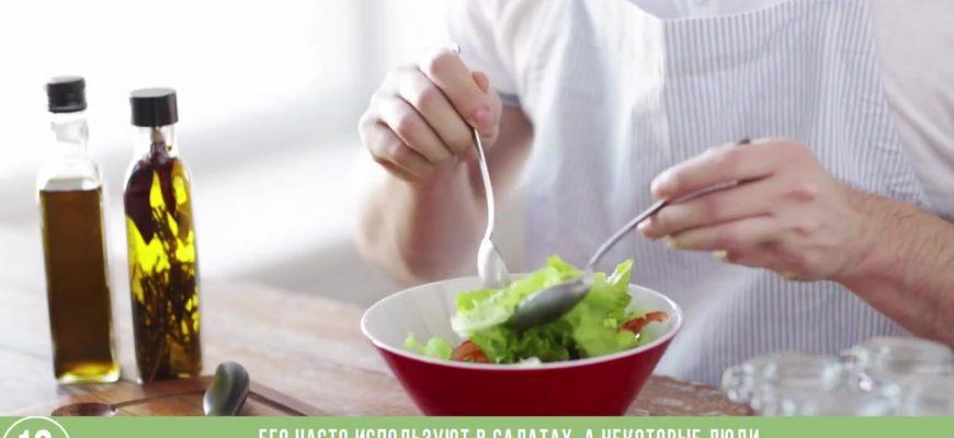 Простые и быстрые сырые рецепты |  сырые продукты